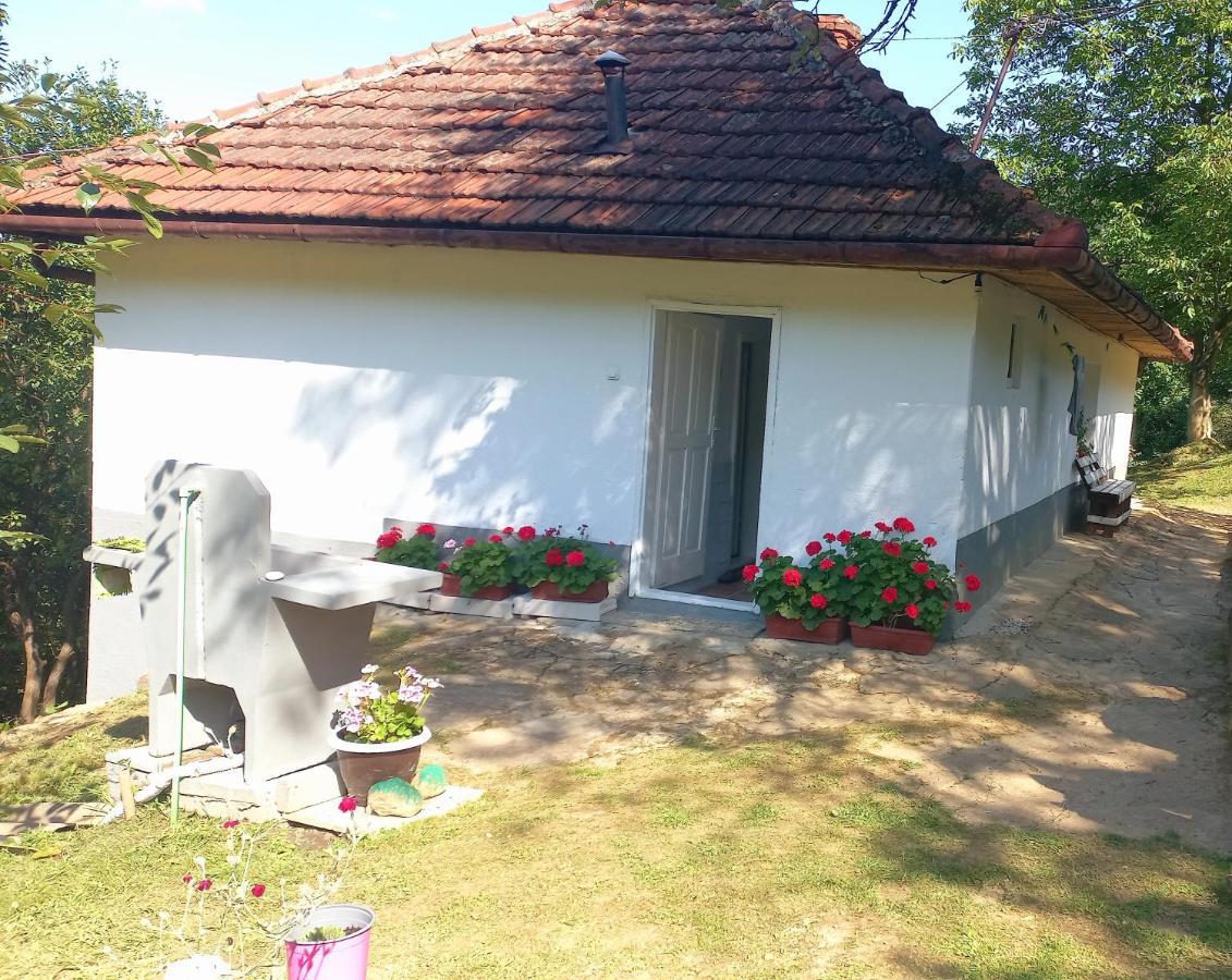 Family House Villa Visoko Bagian luar foto