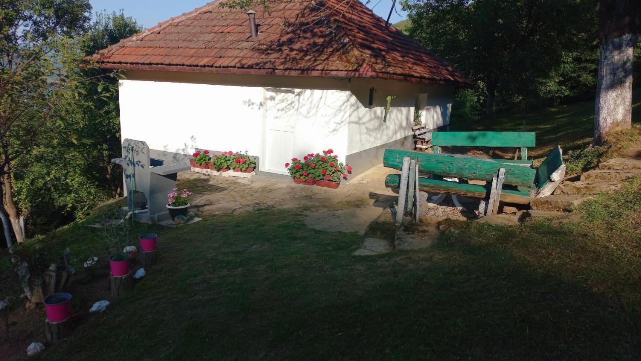 Family House Villa Visoko Bagian luar foto